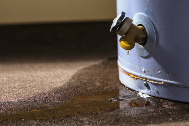 Best Commercial water damage restoration  in Tigard, OR
