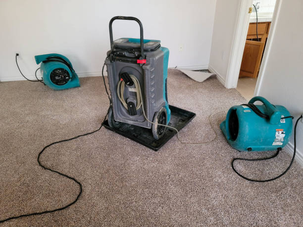 Best Flood damage cleanup  in Tigard, OR