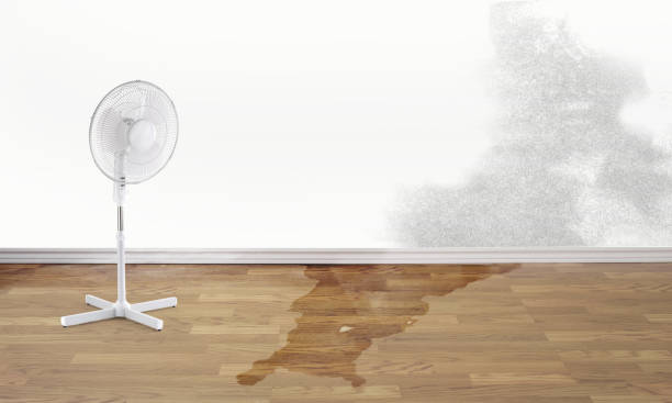 Best Professional water damage repair  in Tigard, OR