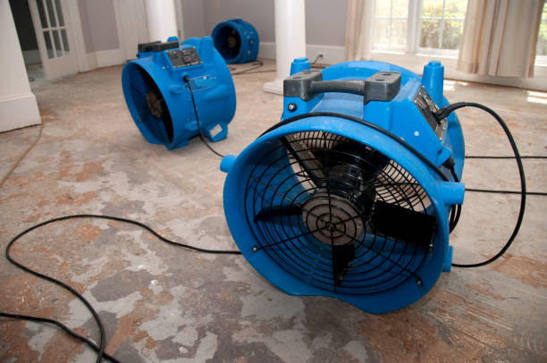 Best Water damage contractors near me  in Tigard, OR
