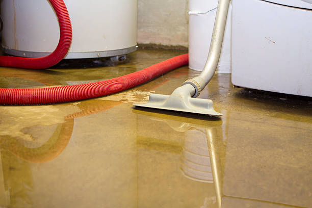 Best Water damage restoration near me  in Tigard, OR